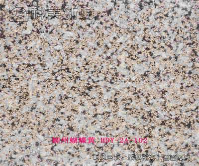 柳州蝴蝶黄 HDY-2A-102